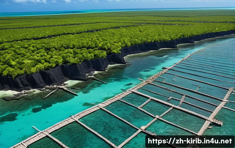 基里巴斯正在消失?国际援助能否拯救这个太平洋岛国 4 키리바시 이주 문제와 국제 지원 관련 이미지 2